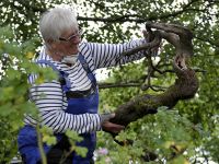 c Helga Mewes Garten 2